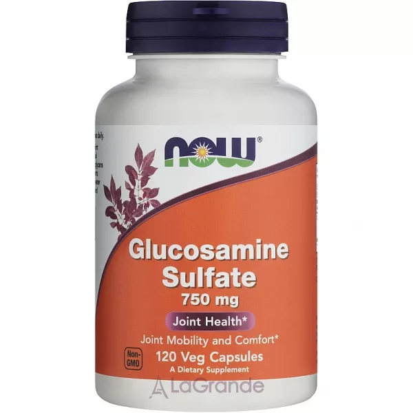 Now Foods Glucosamine Sulfate 750 mg ������� 