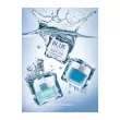 Antonio Banderas Blue Cool Seduction for Women  