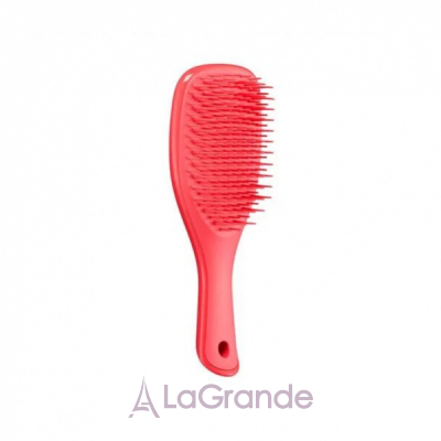 ٳ   Tangle Teezer The Ultimate Detangler Mini Pink Punch,  ٳ   Mini Pink Punch, 