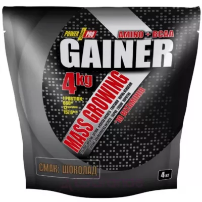 Power Pro Gainer Chocolate  