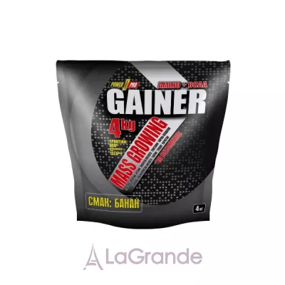 Power Pro Gainer Banan  