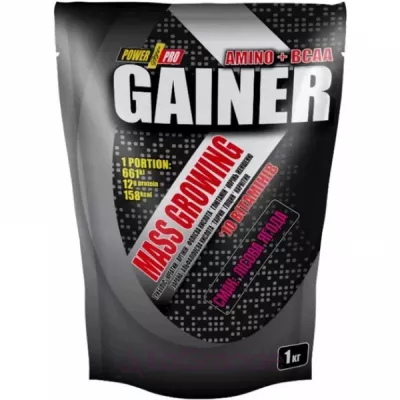 Power Pro Gainer Forest Fruit  