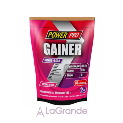 Power Pro Gainer Forest Fruit  