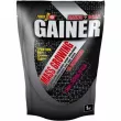 Power Pro Gainer Forest Fruit  