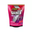 Power Pro Gainer Forest Fruit  