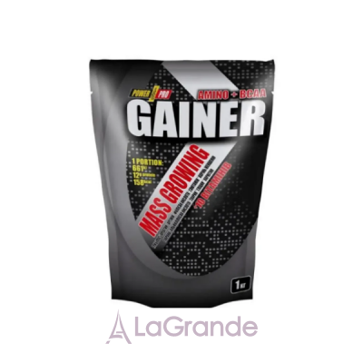 Power Pro Gainer  Vanilla  