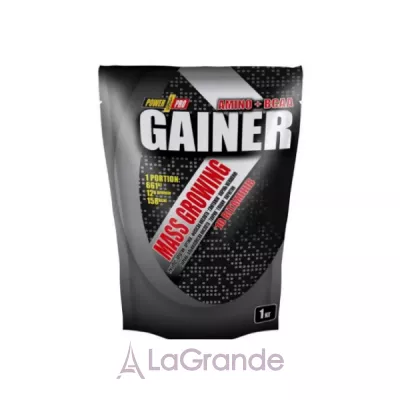 Power Pro Gainer Vanilla  