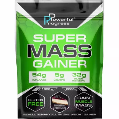 Powerful Progress Super Mass Gainer  Blueberry Cheesecake  