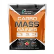 Powerful Progress Carbo Mass Gainer Strawberry      