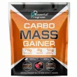 Powerful Progress Carbo Mass Gainer  Forest Fruit      