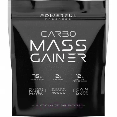 Powerful Progress Carbo Mass Gainer Blueberry Cheesecake      