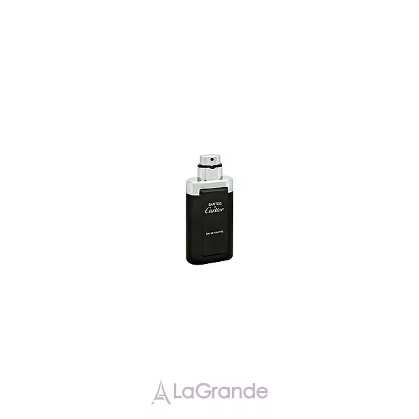 Cartier Santos de Cartier ��������� ���� (������)
