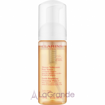 Clarins Gentle Renewing Cleansing Mousse     -   ()