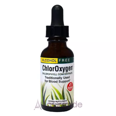 Herbs Etc., ChlorOxygen, Chlorophyll Concentrate, Alcohol Free, Mint, 1 fl     (ChlorOxygen) 