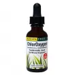 Herbs Etc., ChlorOxygen, Chlorophyll Concentrate, Alcohol Free, Mint, 1 fl     (ChlorOxygen) 