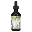 Herbs Etc., ChlorOxygen, Chlorophyll Concentrate, Alcohol Free, Mint, 1 fl     (ChlorOxygen) 