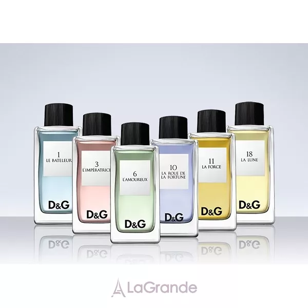 Dolce & Gabbana D&G Anthology La Force 11 �������� ����