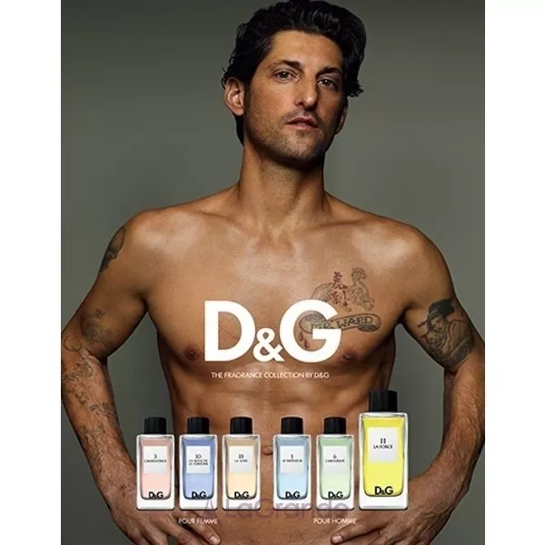 Dolce & Gabbana D&G Anthology La Force 11 �������� ����