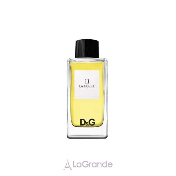 Dolce & Gabbana D&G Anthology La Force 11 �������� ����