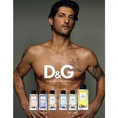 Dolce & Gabbana D&G Anthology La Force 11   ()