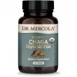 Dr. Mercola Chaga Mushroom   