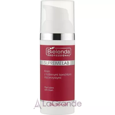 Bielenda Professional SupremeLab Cell-Tech Age Cream     