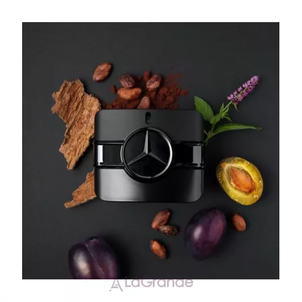 Mercedes-Benz Sign Your Power ��������������� ���� (������)