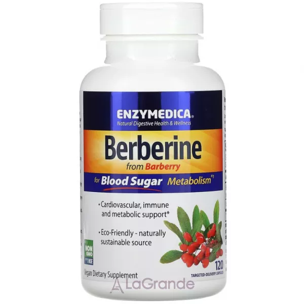 Enzymedica Berberine �������� ��� ���������� ����� � ����