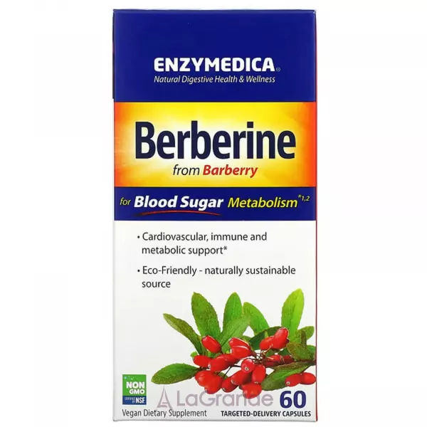 Enzymedica Berberine �������� ��� ���������� ����� � ����