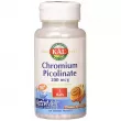 KAL, Chromium Picolinate ActivMelt, Cinnamon Bun, 120 Micro Tablets   (Chromium Picolinate) 200  120      