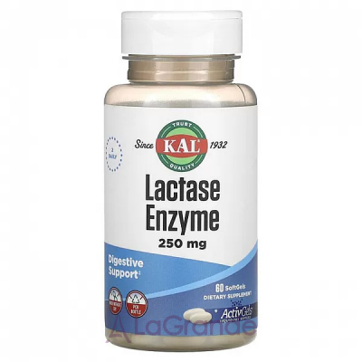 KAL, Lactase Enzyme, 250 mg, 60 Softgels   (Lactase Enzyme) 250  60 