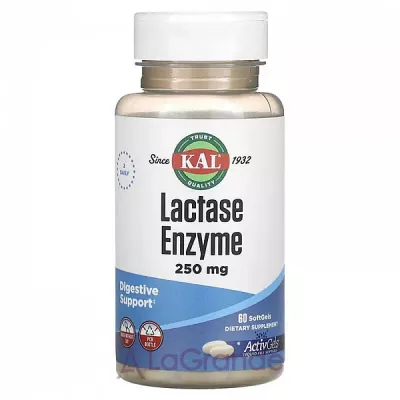 KAL, Lactase Enzyme, 250 mg, 60 Softgels   (Lactase Enzyme) 250  60 