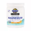 Garden of Life Dr. Formulated Magnesium Powder  ,   