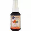 Garden of Life MyKind Organics Vitamin B-12 Spray ³ -12   