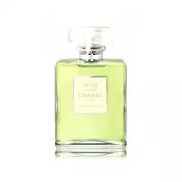 Chanel �19 Poudre ����������� ���� (������)