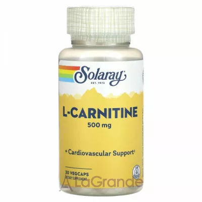 Solaray L-Carnitine L-,  , 500 