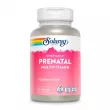 Solaray Once Daily Prenatal Multivitamin  