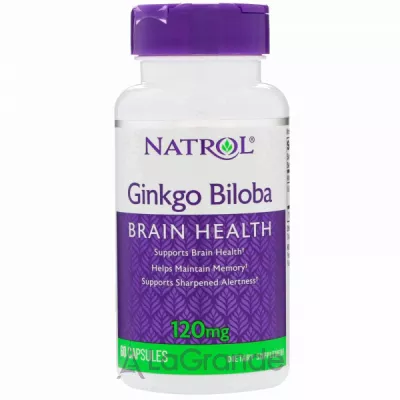 Natrol Ginkgo Biloba 120 mg   120 