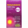 Natural Factors Methylcobalamin B12 5000 mcg  B12 5000 