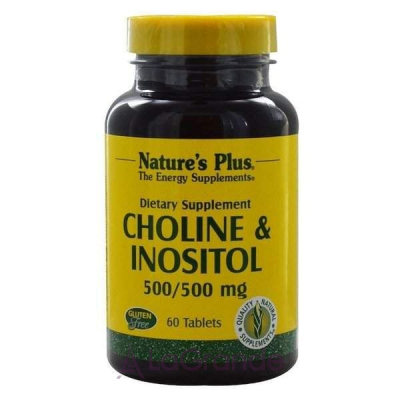 NaturesPlus Choline & Inositol 500/500 mg    500/500   