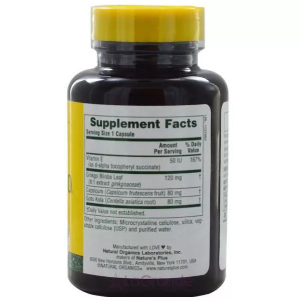 NaturesPlus Ginkgo-Combo ó���� ������ ����� � ��������
