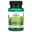 Swanson Full Spectrum Chaga Mushroom 400 mg 60pcs