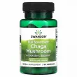 Swanson Full Spectrum Chaga Mushroom 400 mg 60pcs
