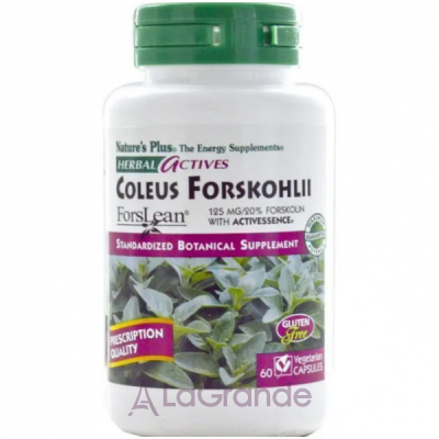 NaturesPlus Herbal Actives Coleus Forskohlii 125 mg  125   