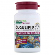 NaturesPlus Herbal Actives Gugulipid Extended Release 1000 mg 30pcs