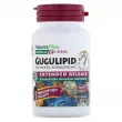 NaturesPlus Herbal Actives Gugulipid Extended Release 1000 mg       1000   