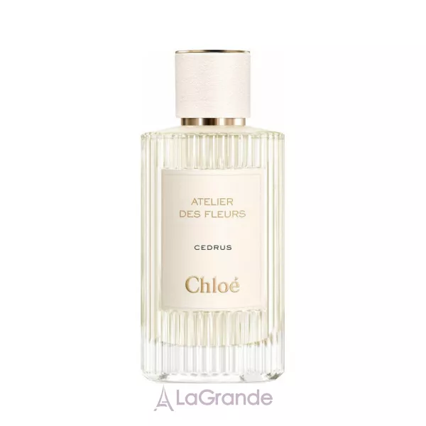 Chloe Atelier Des Fleurs Cedrus ��������������� ����