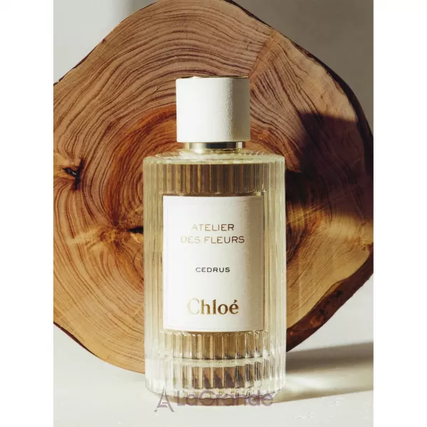 Chloe Atelier Des Fleurs Cedrus ����������� ���� (������)