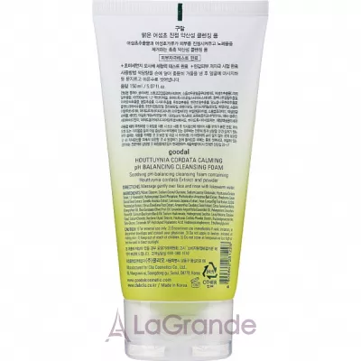 Goodal Houttuynia Cordata Calming pH Balancing Cleansing Foam     