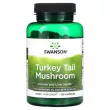 Swanson Turkey Tail Mushroom 500 mg 120pcs